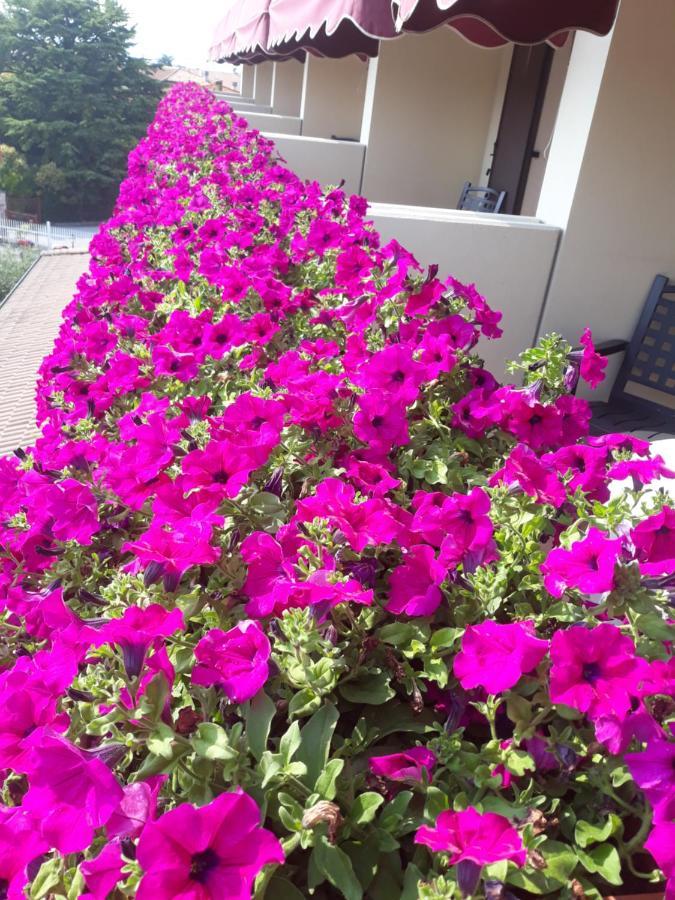 Hotel Da Roberto Lazise Exterior photo